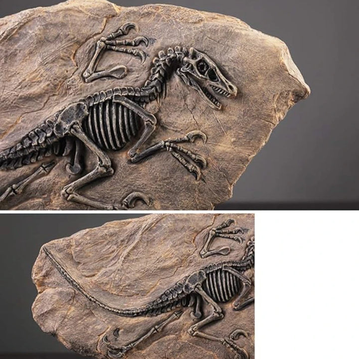 Tyrannosaurus Rex Dinosaur Fossil, Resin Dinosaur Skeleton Model, Dinosaur Decoration for Bookshelf Tabletop Display