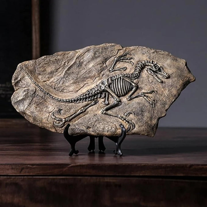 Tyrannosaurus Rex Dinosaur Fossil, Resin Dinosaur Skeleton Model, Dinosaur Decoration for Bookshelf Tabletop Display
