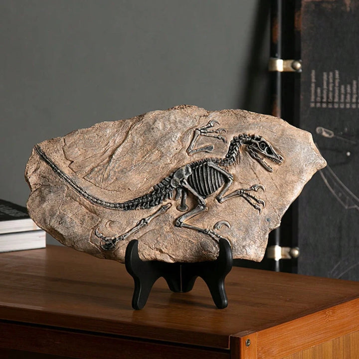 Tyrannosaurus Rex Dinosaur Fossil, Resin Dinosaur Skeleton Model, Dinosaur Decoration for Bookshelf Tabletop Display