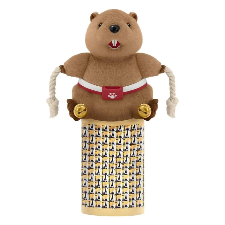 Wrestling Puppet for Cats Cat Wrestling Puppet Cat Wrestling Glove Puppet with Padding Bell for Safe Play Stuffed for Boredom