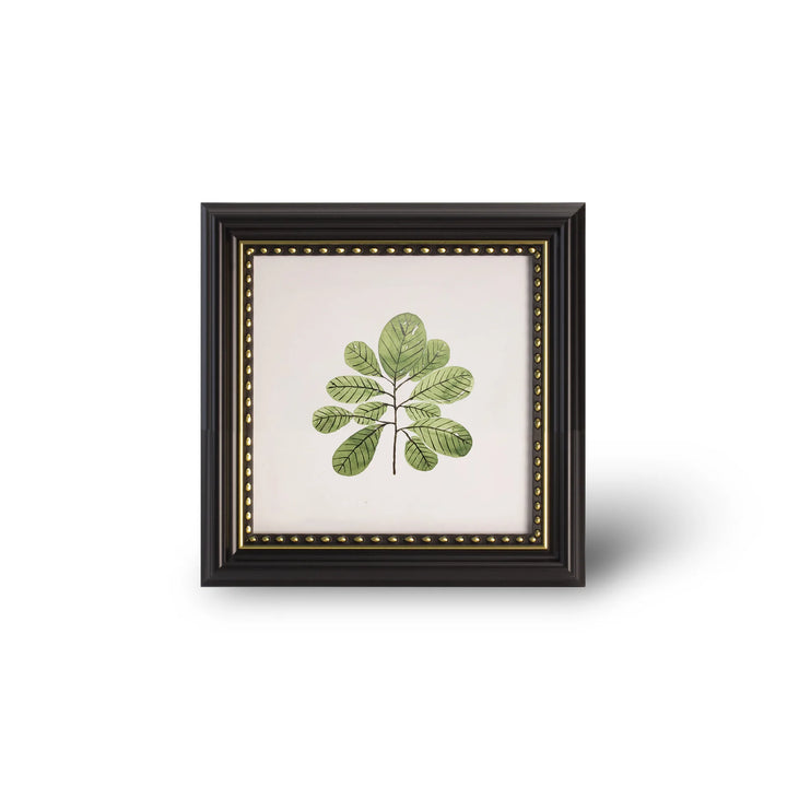 European Square Photo Frame 10 Inch & 12 Inch Decorative Picture Frame Home Decor and Memories, Stylish Artwork Display Frame