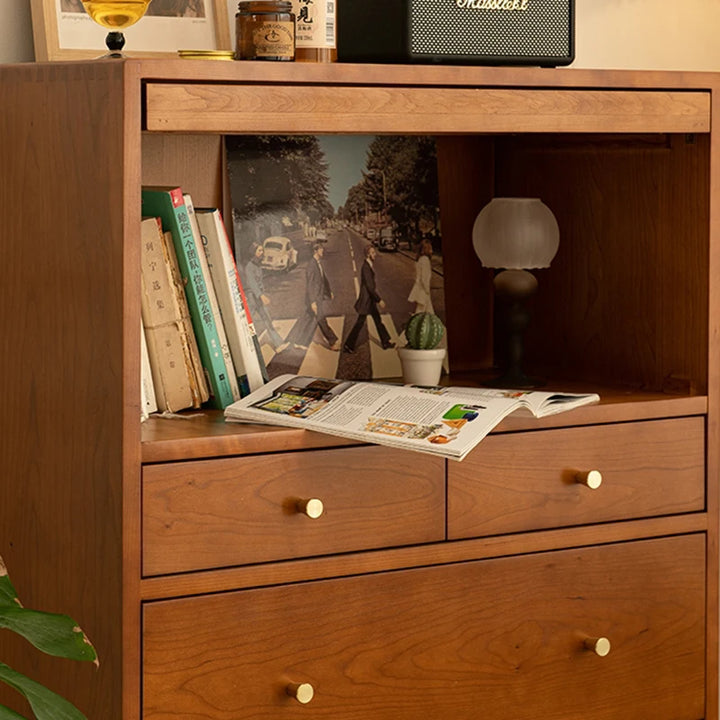 Vintage Aesthetics Living Room Cabinets Simple Elegant Delicacy Unique Storage Cabinet Space Saving Woonkamer Kasten Furniture