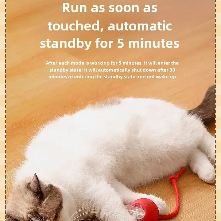 Interactive Dog Ball Automatic Puppy Toys for Puppies Dogs Toy Pet Balls Cats Products Intelligence Moving Small Supplies Home