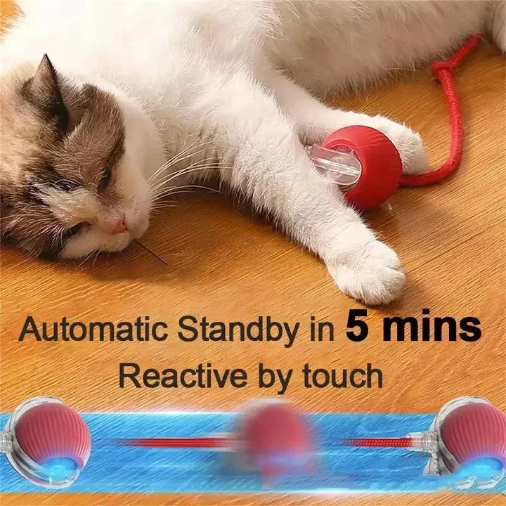Interactive Dog Ball Automatic Puppy Toys for Puppies Dogs Toy Pet Balls Cats Products Intelligence Moving Small Supplies Home