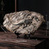 Tyrannosaurus Rex Dinosaur Fossil, Resin Dinosaur Skeleton Model, Dinosaur Decoration for Bookshelf Tabletop Display