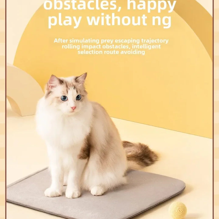 Interactive Dog Ball Automatic Puppy Toys for Puppies Dogs Toy Pet Balls Cats Products Intelligence Moving Small Supplies Home