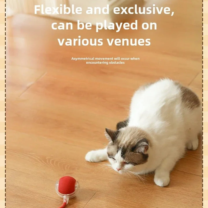 Interactive Dog Ball Automatic Puppy Toys for Puppies Dogs Toy Pet Balls Cats Products Intelligence Moving Small Supplies Home