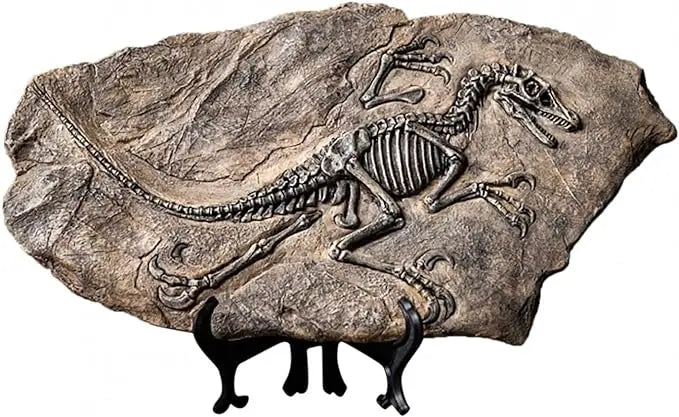 Tyrannosaurus Rex Dinosaur Fossil, Resin Dinosaur Skeleton Model, Dinosaur Decoration for Bookshelf Tabletop Display