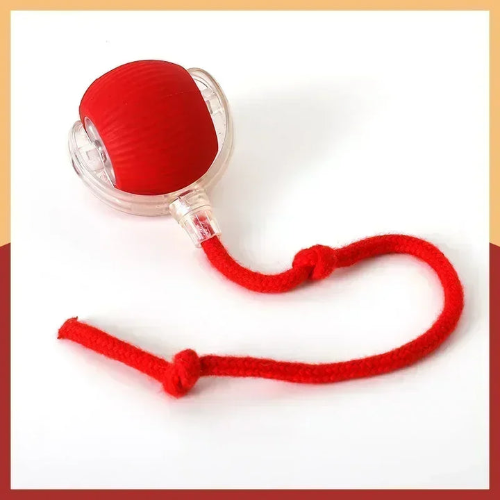 Interactive Dog Ball Automatic Puppy Toys for Puppies Dogs Toy Pet Balls Cats Products Intelligence Moving Small Supplies Home