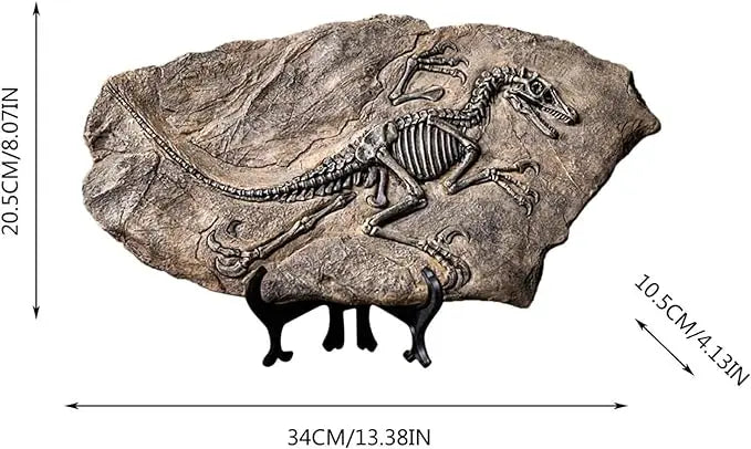 Tyrannosaurus Rex Dinosaur Fossil, Resin Dinosaur Skeleton Model, Dinosaur Decoration for Bookshelf Tabletop Display