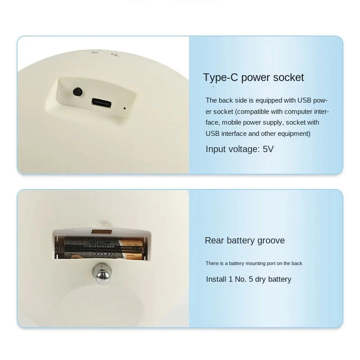 Watch Winders for Automatic Watches Usb Power Used Globally Motor Mechanical Watch Rotate Stand Box Fashion Desktop Decoration